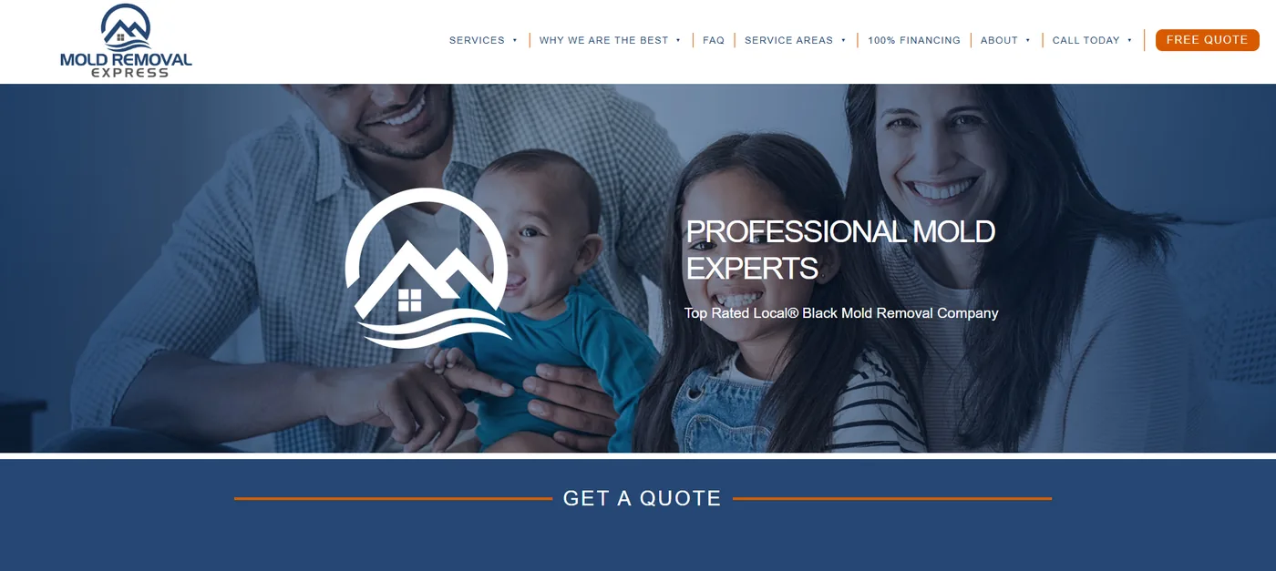 The old Mold Removal Express home page on a laptop, before the rebuild